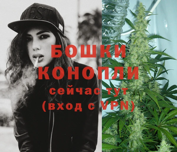 стафф Пересвет