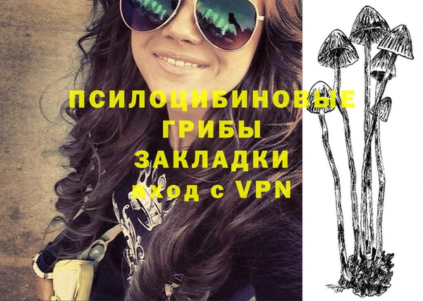 дживик Пестово