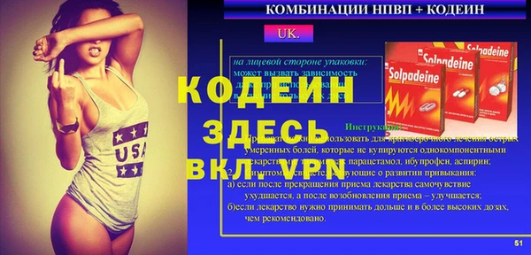 дживик Пестово