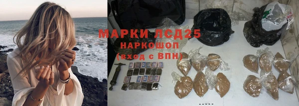 дживик Пестово